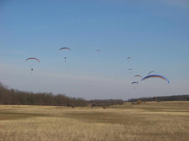 KĂśtelĂŠkrepĂźlĂŠs 133