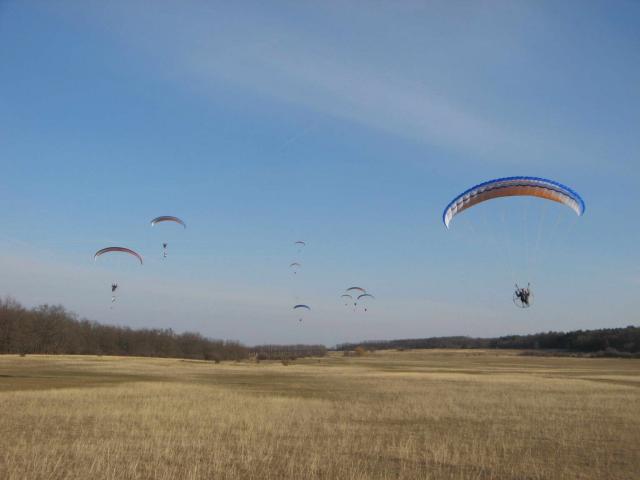 KĂśtelĂŠkrepĂźlĂŠs 137