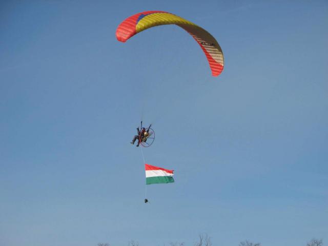 KĂśtelĂŠkrepĂźlĂŠs 175