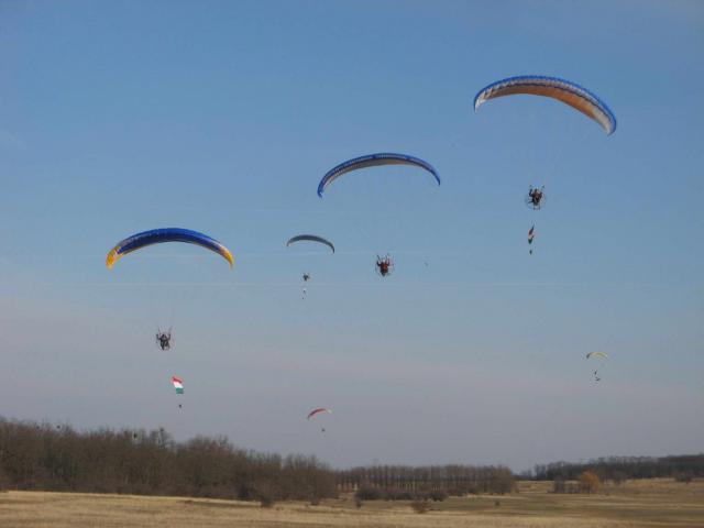 KĂśtelĂŠkrepĂźlĂŠs 195