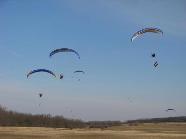 KĂśtelĂŠkrepĂźlĂŠs 196