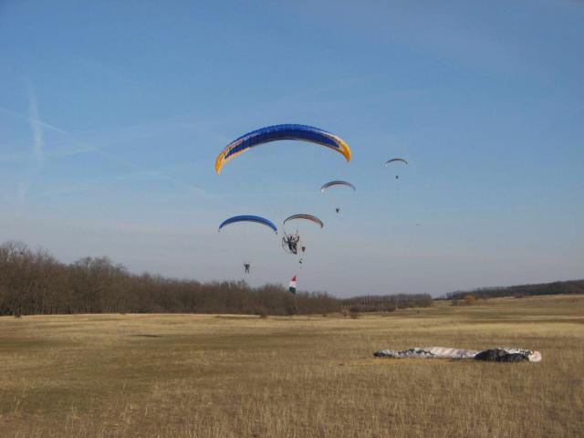 KĂśtelĂŠkrepĂźlĂŠs 304