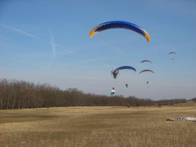 KĂśtelĂŠkrepĂźlĂŠs 305