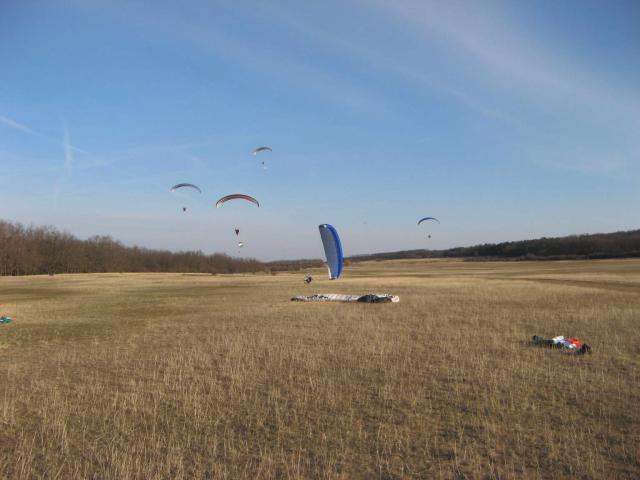 KĂśtelĂŠkrepĂźlĂŠs 309