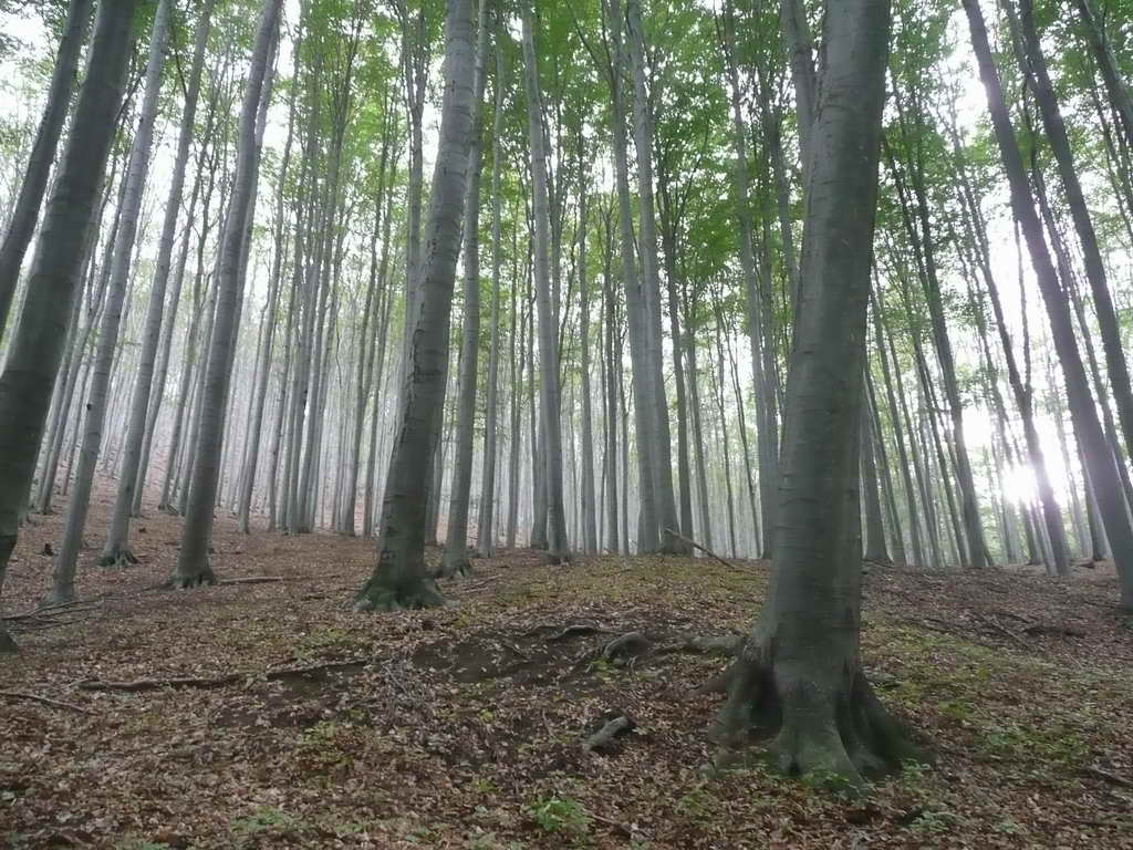 P1090960