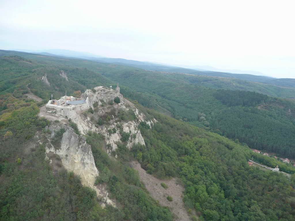 P1100018