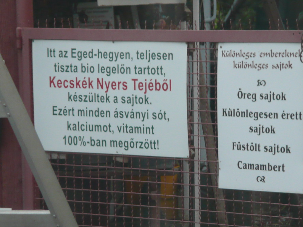 P1100507