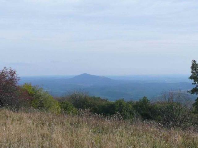 P1100736
