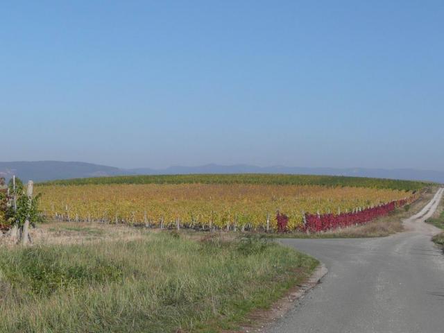 P1110204