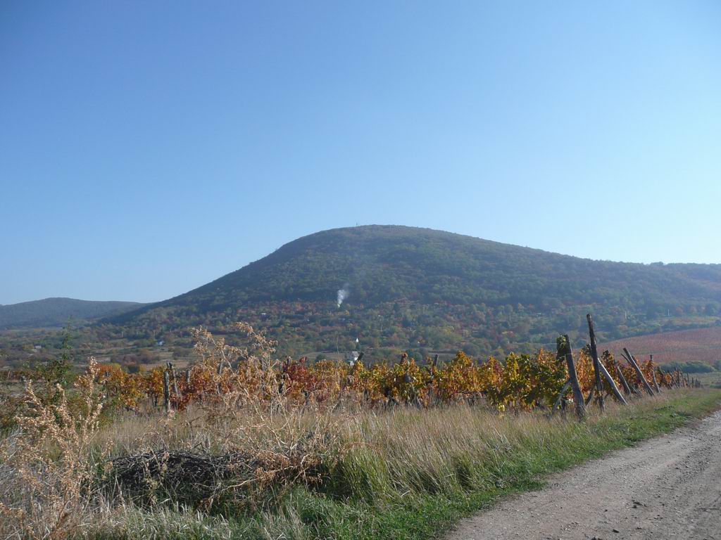 P1110205