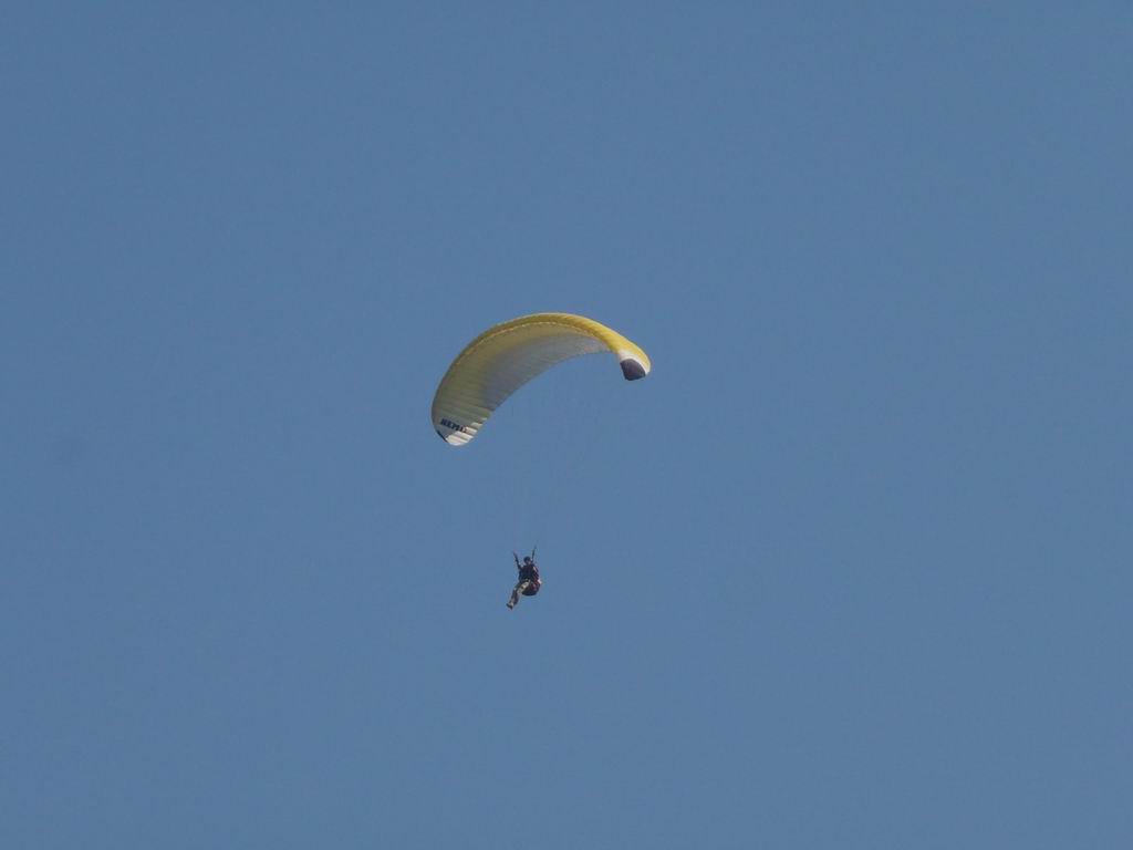 P1110390