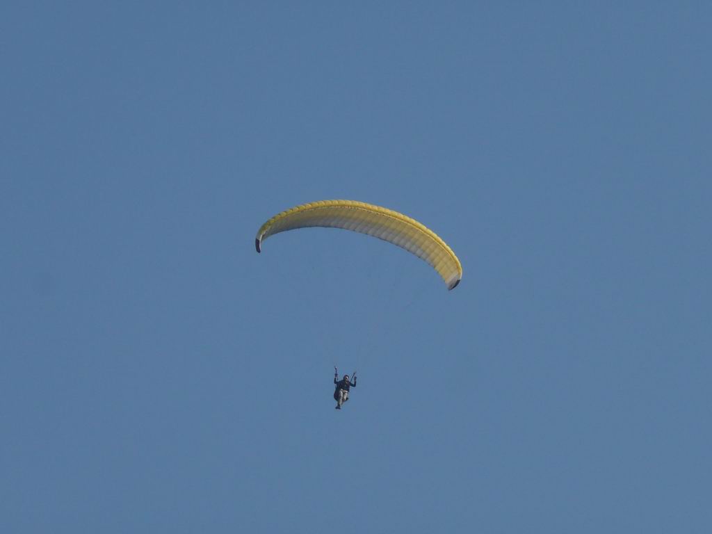 P1110391