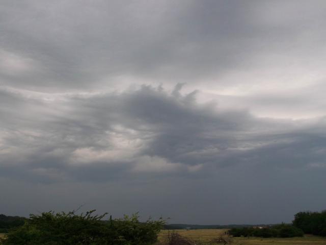 DSCF1444