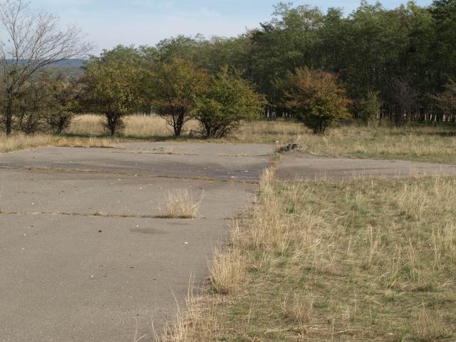 PA060059