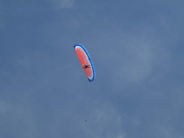 PA060083