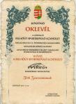 Oklevel10 TZs