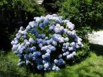 DSCF4204