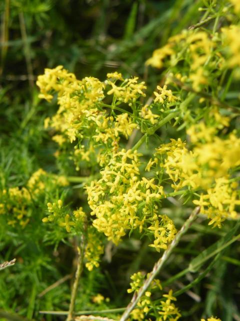 DSCF9402