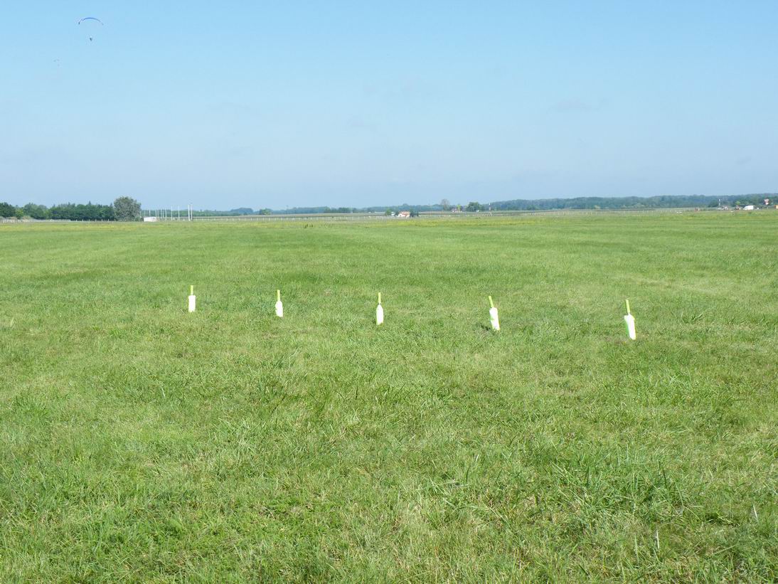 DSCF9654