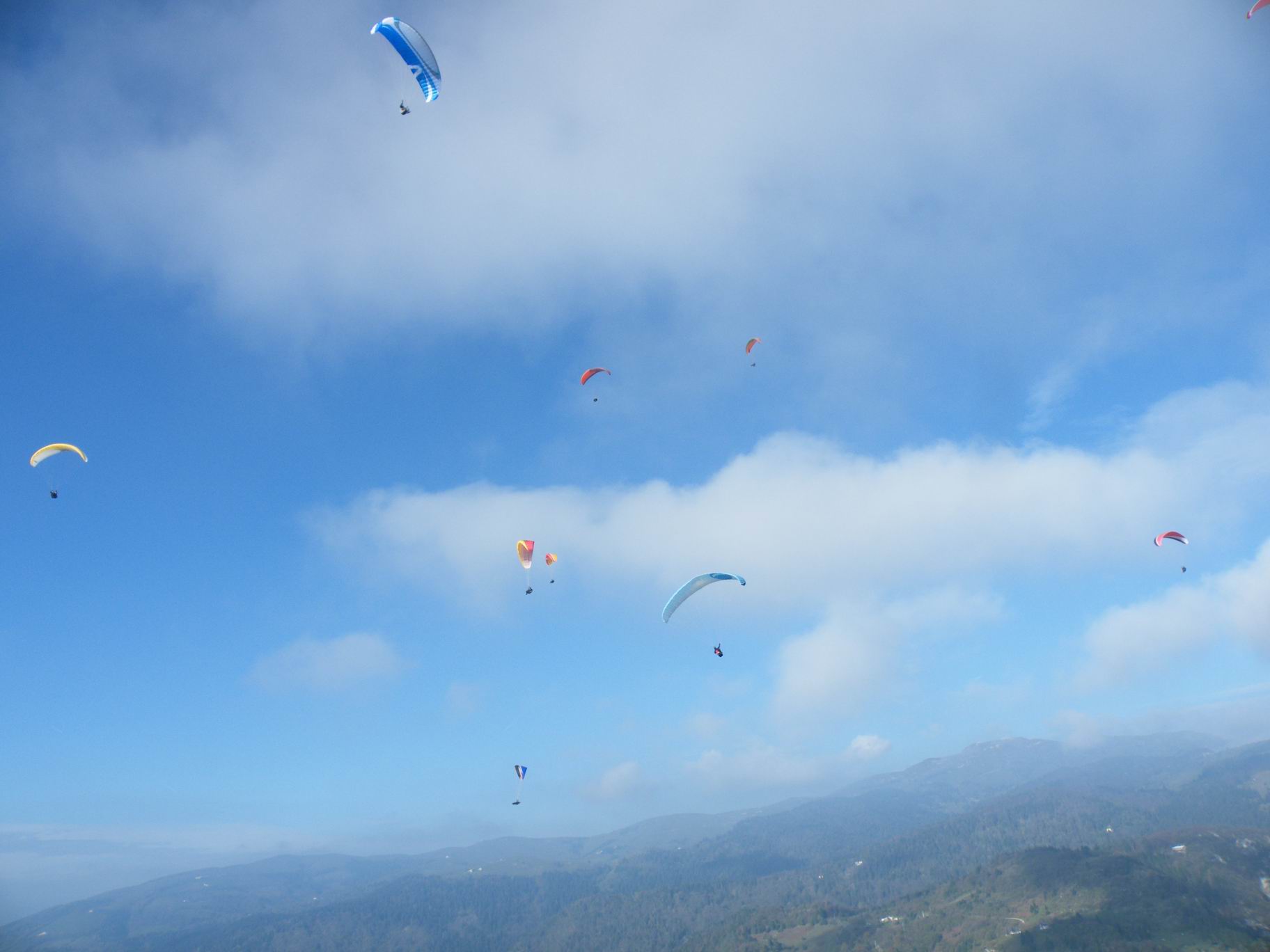 DSCF1306