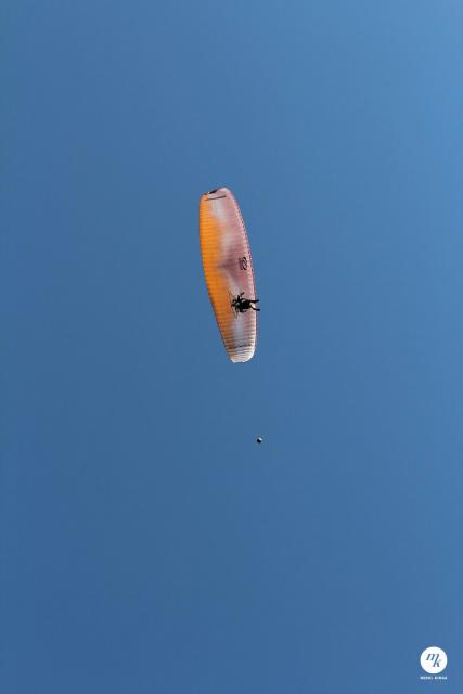 IMG_2766