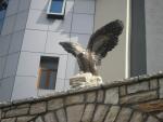 SAM_0741