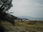 SAM_0754