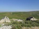 SAM_0854