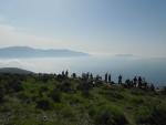 SAM_0859