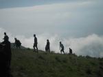 SAM_0865