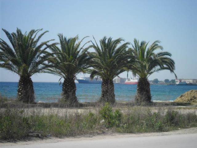 SAM_1230