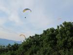 IMG_5407