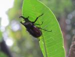 IMG_8088