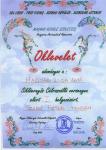 Liga2015TandemI