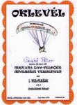 NirvanaDay2015Oklevel