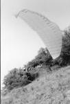 O034-19930502CsovarSzP