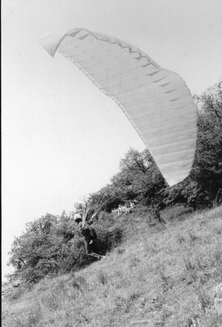O034-19930502CsovarSzP