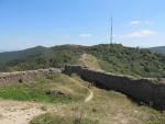 IMG_4502