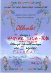 CelraLiga2016Felhout1