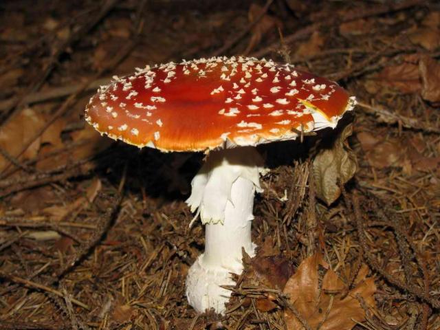 451