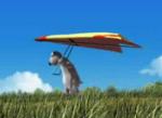 hanggliding